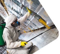 Commercial Pest Control Sai