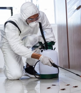 Safe Treatment Sai Pest